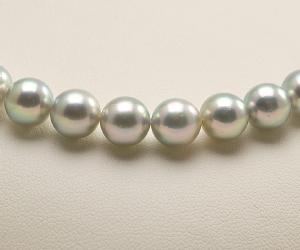 【真珠の本場伊勢志摩よりお届け】深みのあるグレーが魅力♪7.5-8.0mmあこや本真珠シルバーグレーパールネックレス【nｃ0466】