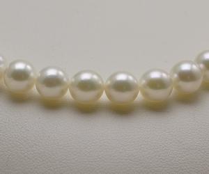 【真珠の本場伊勢志摩よりお届け】ほんのり上品グリーン♪7.0〜7.5mmあこや本真珠ネックレス【nc0830】