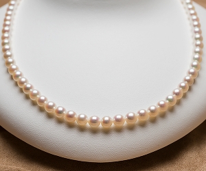 【真珠の本場伊勢志摩よりお届け】淡いピンクが美しい♪5.5-6.0mmあこや本真珠パールネックレス【nc0891】